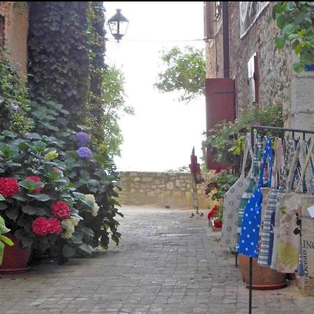 Apartment Beatrice. 10Mt To The Beach :) Rovinj Exterior photo